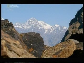 porn только не говорите маме что я в пакистан hd