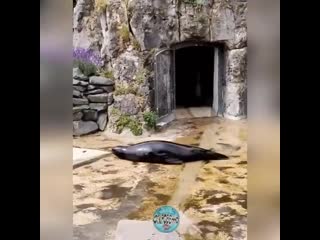 porn туда сюда обратно мне весело приятно катаюсь развлекаюсь я сам с собой играю hd