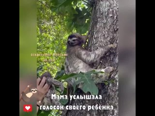 porn какое милое видео боже как она его обнимает какая прелесть hd