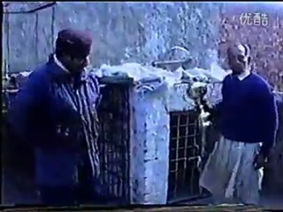porn собачьи бои 1 булли кутта vs гуль донг 2 питбуль vs питбуль hd