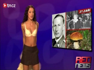 porn сексуальная ведущая раздевается в передаче hd
