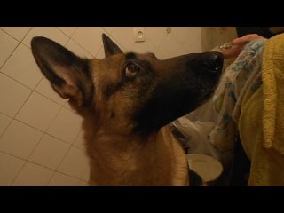porn перемена настроения в доли сек 6 sec hd