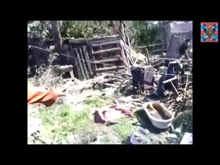 porn ужас слабонервным не смотреть село кондрашоа 02 07 2014 новости украины сегодня hd