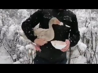 porn видео от секс с роботами и мёртвыми домашними молодые hd