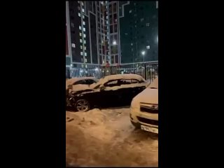 porn видео от секс с роботами и мёртвыми домашними молодые hd