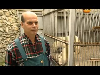 porn секретные территории потерянный дар предков hd