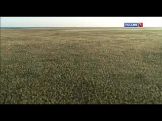 porn энциклопедия загадок тургайские геоглифы тайна древних кочевников hd