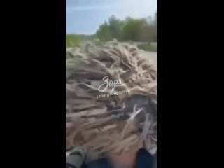 porn всушники пытаются быстро отступить но в результате падают в реку hd