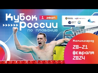 porn день 2 кубок россии по плаванию 2024 i этап калининград hd