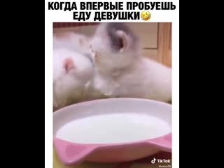 porn по усам текло а в рот не попало hd