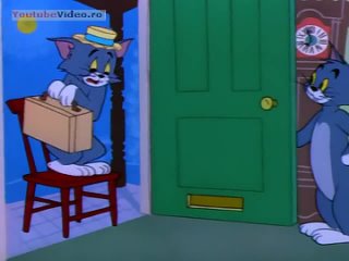 porn 106 timid tabby hd