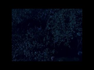 porn большой плохой волк волк оборотень big bad wolf 2006 лицензия public40911932 hd