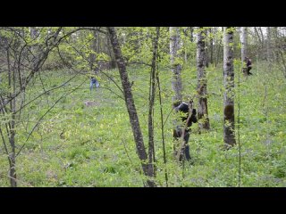 porn лазертагспецподразделение tff 1 hd