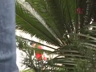 porn 18nhdt 978 amateur obsessed lady drive car to school hd