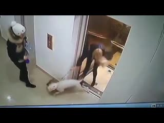 porn жесткое видео из украины в одессе в лифте многоэтажки бойцовская молодые загрызла шпица hd