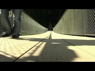 porn привлекательность и сексуальность hd