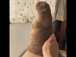 porn можешь не останавливаться пожалуйста hd