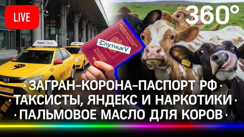 porn загран корона паспорт рф таксисты яндекс и молодые пальмовое масло для коров hd