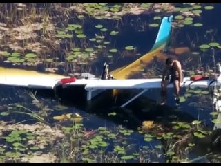 porn американский летчик 9 часов ждал помощи в болоте с аллигаторами hd