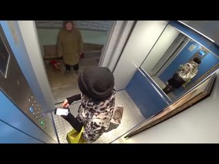 porn по данным вциома рейтинг доверия российскому лидеру составляет 75 а что если понаблюдать за людьми с помощью скрытой hd
