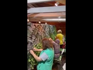 porn видео от шестьвосемь 68 верхняя пышма среднеуральск hd