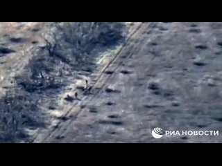 porn поражения личного состава всу оператором fpv камикадзе из состава вс рф на бахмутском направлении hd