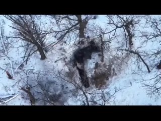 porn в сети появилось видео на котором попавший в плен русский боец бросает гранату в блиндаж противника почему граната hd