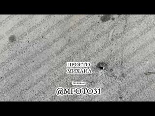 porn украинские формирования обстреляли центральный рынок в шебекино в результате прилета пострадали шесть человек пятеро hd