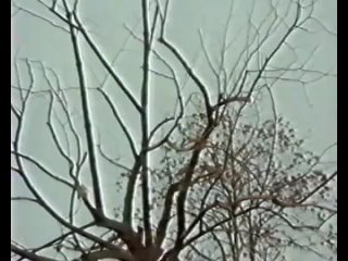 porn ночной поезд в венецию поезд в ад night train to venice train to hell 1993 hd
