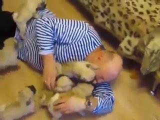 porn pug puppy hd