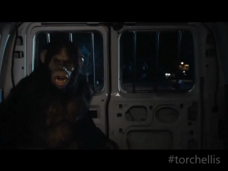 porn мэтт дэймон или мэд демон очень страшное кино 5 torchellis hd