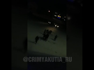 porn очередная драка у ночного клуба вегас якутск hd