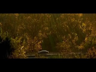 porn bbc чего мы не знаем о боли bbc the secret world of pain 2011 hd