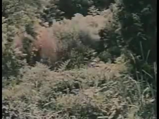 porn сексуальный каннибал дьявольский охотник секс с каннибалами sexo canнbal devil hunter 1980 hd