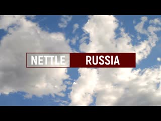 porn nettle russia hd