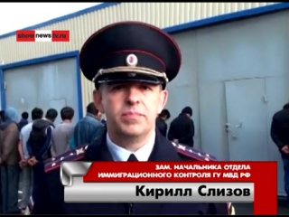 porn полиция раскрыла тайну исчезновения тараканов vhs video hd