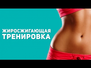 porn интенсивная жиросжигающая тренироа фитнес подруга hd