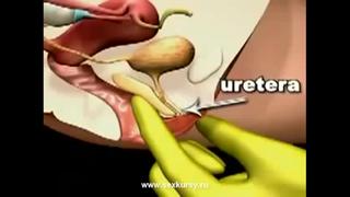 porn как пробудить точку g сквирт hd