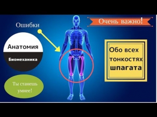 porn sls шпагат анатомия от а до я детям и взрослым hd