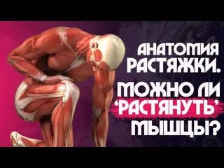 porn sls алкоголь влияет на гибкость растяжка и стретчинг мышцы сухожилия и связки hd