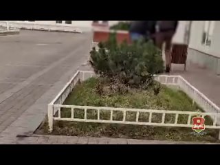 porn безработного мигранта задержали в питере за переписку интимного характера с молодые hd
