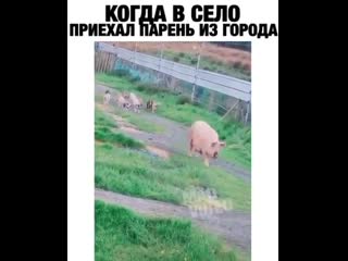 porn когда в село приехал парень из города hd