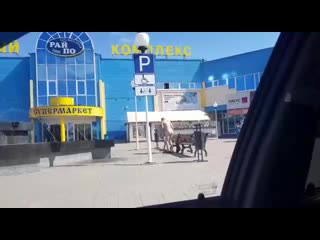 porn голый чувак купается в ступинском фонтане 18 hd