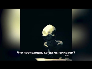 porn в сети появилось фейковое интервью с пришельцем hd