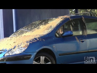 porn розыгрыш реми гайяр большой голубь и автомобиль remi gaillard big pigeon and the car clip from the film rémi hd