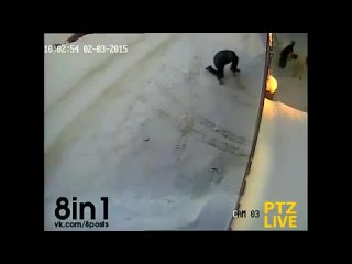 porn поигрался с собачками мужик шёл мимо забора за которым были молодые и засунул под забор ногу hd