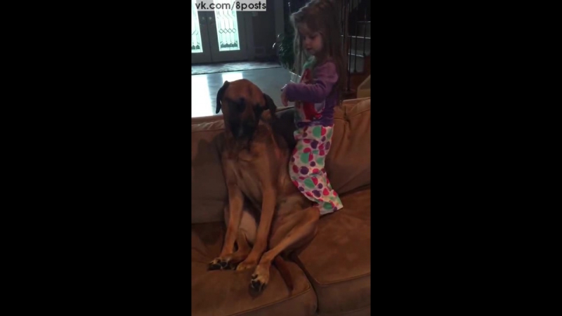 porn маленькая девочка играет в доктора с терпеливой молодые dog tolerates little girl playing doctor hd
