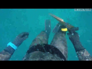 porn мужик пытается застрелить акулу но она нападает на него и кусает spear fisherman is porn by shark in western hd
