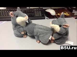 porn секс говорящих хомяков говорящий хомяк тролль ахахах hd