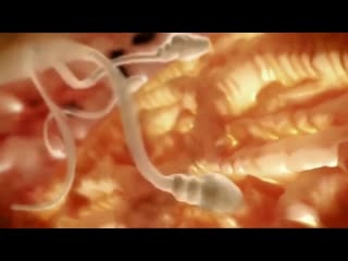 porn 9 месяцев беременности за 10 минут 3d потрясающее видео hd